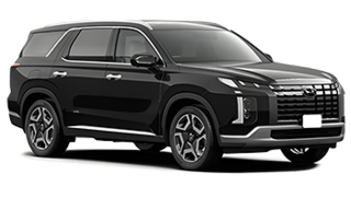 Car image of Hyundai Palisade
